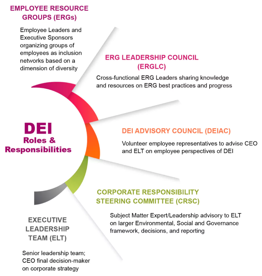 Diversity, Equity & Inclusion Structure