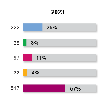 Workforce Racial Diversity 2023 Company Wide Snapshot