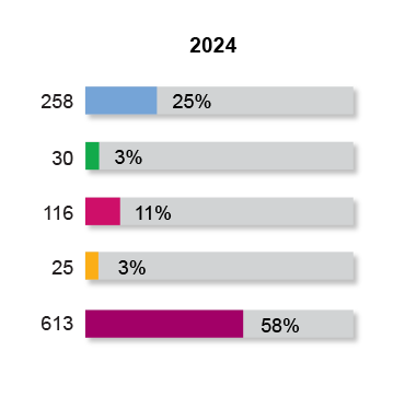 Workforce Racial Diversity 2024 Company Wide Snapshot