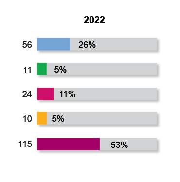 Workforce Racial Diversity 2022 New Hires Snapshot