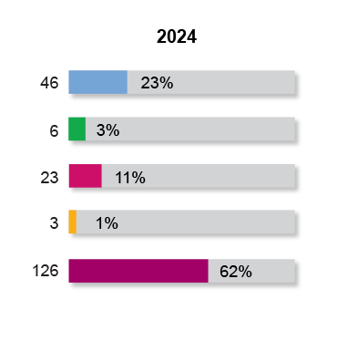 Workforce Racial Diversity 2024 New Hires Snapshot