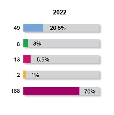 Workforce Racial Diversity 2022 Leadership Snapshot