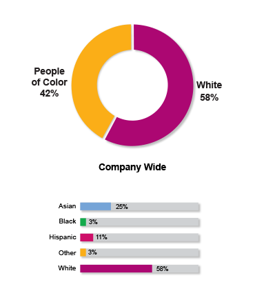 Workforce Racial Diversity 2024 Company Wide  Snapshot