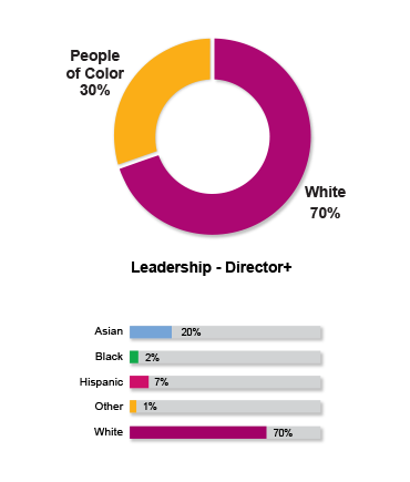 Workforce Racial Diversity 2024 Leadership Snapshot