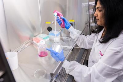 Post Doc in the Lab
