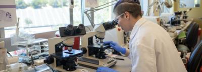 Scientist in lab leaning over a microscope