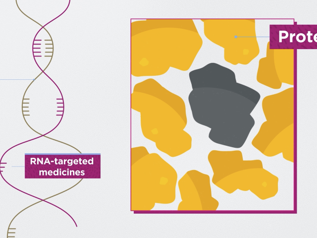 Illustration of RNA and RNA-targeted medicines alongside protein shapes, with one gray protein among yellow proteins