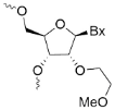 2'-0-Methoxyethyl