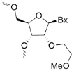 2'-0-Methoxyethyl 2'-0-Methoxyethyl